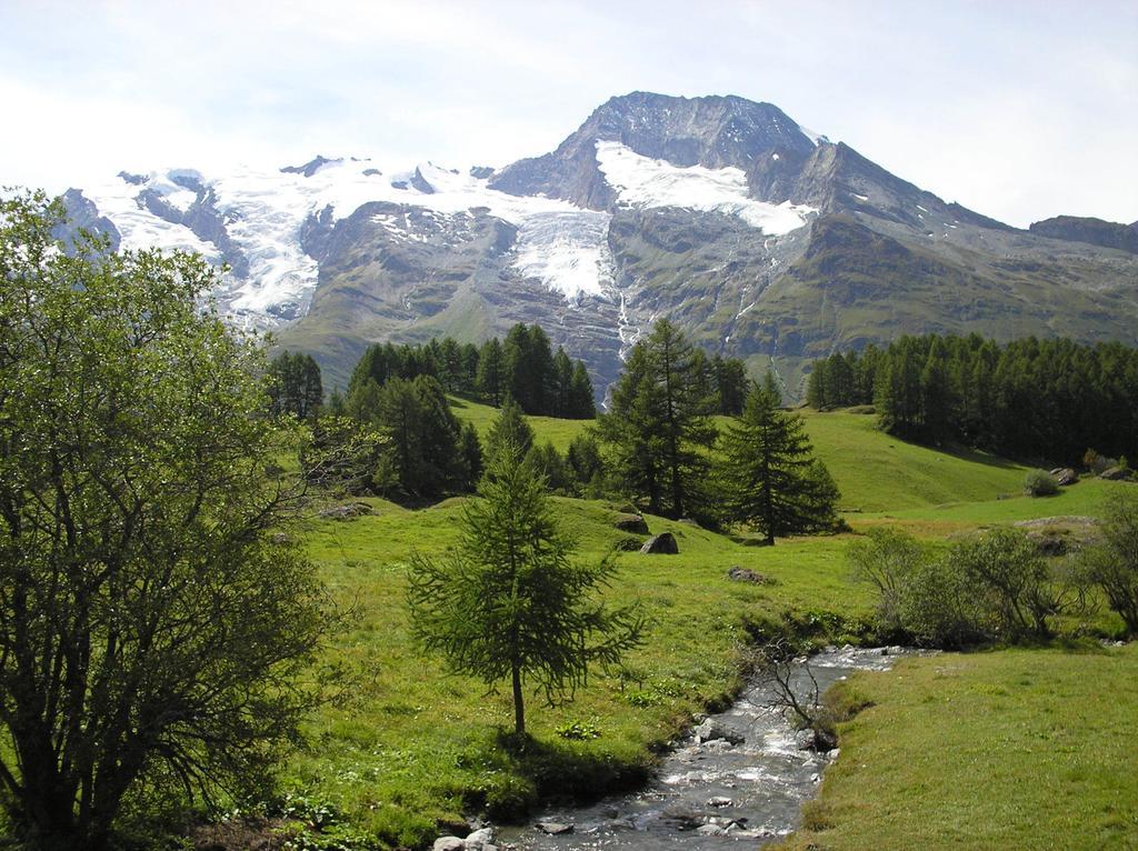 Bed and Breakfast Chalet Bois D'Antan Sainte-Foy-Tarentaise Exterior foto